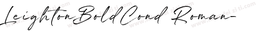 LeightonBoldCond Roman字体转换